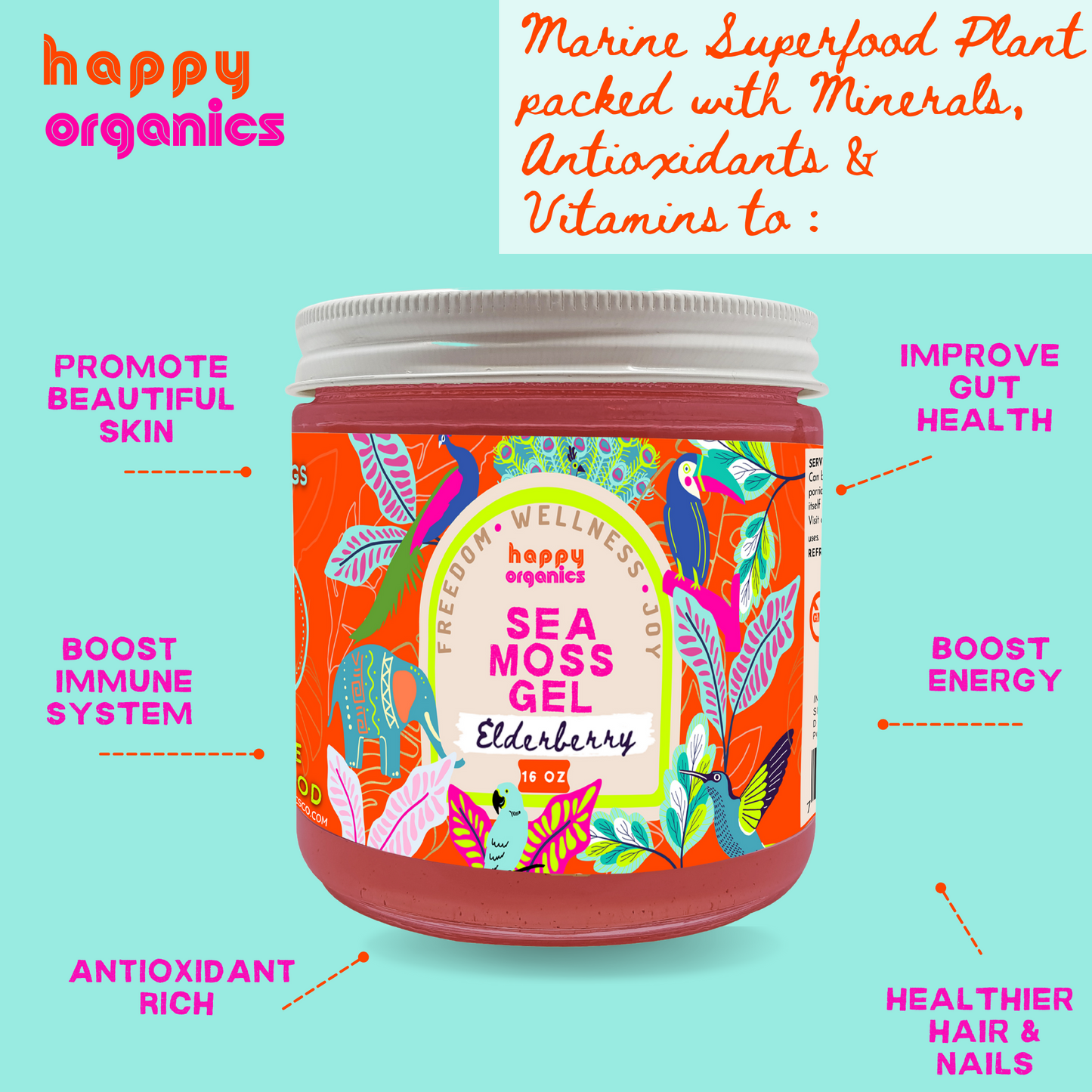 Elderberry Sea Moss Gel