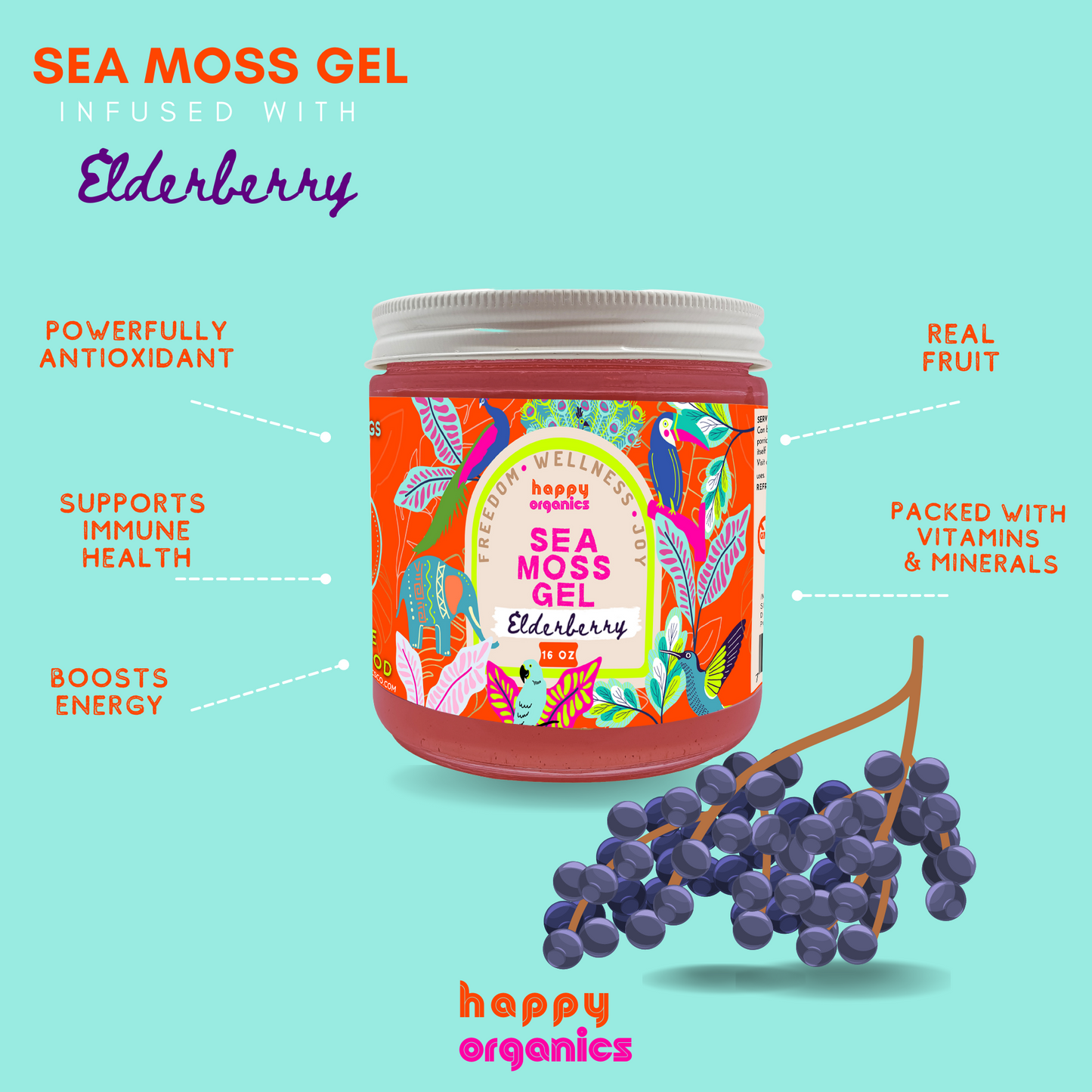 Elderberry Sea Moss Gel